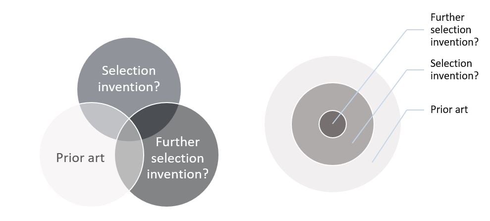 Selection Inventions Before The EPO